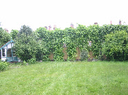 wp429546ee_0f.jpg